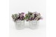Tradescantia albiflora nanouk in stone look pot 