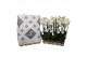 Phalaenopsis white world 3 tak - 18+ bloemen pulptray 