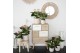 Anthurium andr. joli 