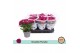 Chrysanthemum ind. mount aubisque purple Double Purple 