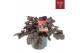 Heuchera indian summer silver 