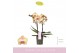 Phalaenopsis geel MyMonro Glamour 2 spike 13 bl. 2 tak/plnt 