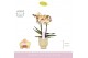 Phalaenopsis geel MyMonro Glamour 2 spike in Emilia Sand Aquo 13 bl. 2 