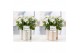 Campanula isoph. atlanta white pure eline 