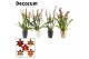 Cambria mix 3 tak in carly neo architect decorum 