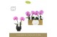 Phalaenopsis paars Singolo & Co - Victorio - 2 bloem - Abruzzo Black A 