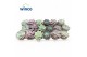 Echeveria mix Echeveria Love Mix (6 Spc.) 