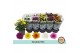 Chrysanthemum ind. gevuldbloemig mix Double Mix 