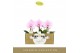 Phalaenopsis roze Singolo - Mino - 1 bloem - Lazio White 