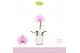 Phalaenopsis roze Singolo - Mino - 1 bloem - Lazio White 