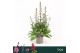Digitalis panther 