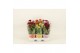 Celosia argentea cristata twisted mix 
