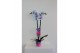 Phalaenopsis wonder of nature 2 tak 