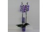 Phalaenopsis wonder purple 2 tak