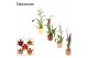 Cambria mix 1 tak in liam nature world decorum 