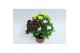 Chrysanthemum ind. stream pink/yellow/white Fusion 