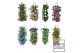 Tweejarigen overig perkplanten mix Wandhanger perkgoed mix laag 