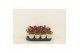 Kalanchoe blossfeldiana gevuld rubio red 
