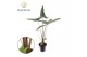 Alocasia zebrina Alocasia Tigrina Superba 14 cm (Decorum) 1 pp 