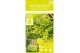 Nandina domestica magical lemon and lime 