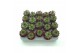 Sempervivum tectorum rood 