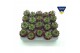 Sempervivum tectorum rood 