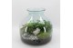 Arrangementen kamerplanten GRCR-2554 Green Essentials Terrarium 3 pp 