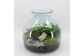 Arrangementen kamerplanten GRCR-2554 Green Essentials Terrarium 3 pp