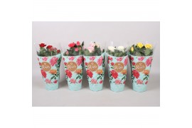 Rosa favourite mix kar Rosa Favourite Roses diversen per laag/kar