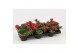 Verbena lascar red Verbena rood 