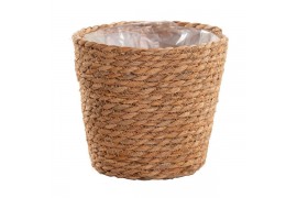 Kamerplanten mix gemengd x 4 sorten gaby + 1 pp