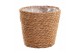 Kamerplanten mix Groen Mix kamerplanten p14 in GABY mand 1 pp 