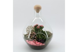 Arrangementen kamerplanten ESCR-2506RZ Essentials terrarium 3 pp