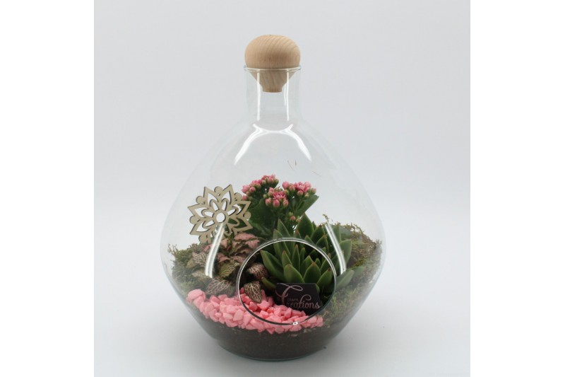 Arrangementen kamerplanten ESCR-2506RZ Essentials terrarium 3 pp 
