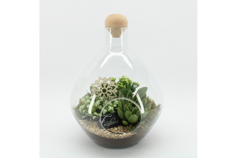 Arrangementen kamerplanten ESCR-2506W Essentials terrarium 3 pp Arrangementen kamerplanten ESCR-2506W Essentials terrarium 3 pp