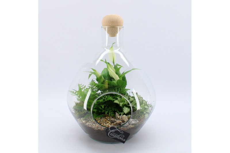 Arrangementen kamerplanten GRCR-2545 Green Essentials Terrarium 3 pp Arrangementen kamerplanten GRCR-2545 Green Essentials Terrarium 3 pp