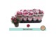 Chrysanthemum ind. ciao special 