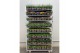 Perkplanten mixkar Perkplanten Mixkar 13 cm 