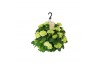 Hydrangea hi white sun Hydrangea macr. 27cm Wit Hangplant 20+ Bloem 15