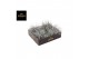 Tillandsia super silver xl 0874 