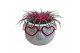 Tillandsia arrangement Love Dude 