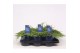 Juniperus communis green carpet 