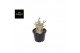 Adenium ansu baobab (niet bloeiend) 