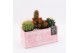 Arrangementen cactus CTCR-2517 Cactus Essentials 3 pp 