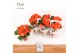 Begonia elatior du. reina DolcAmore® Flair 