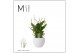 Spathiphyllum bellini 8+ bloem - Bolpot keramiek Wit, Decorum 