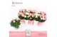 Rosa infinity mix wit/roze dolcamore richness 