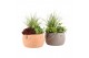 Arrangementen tuinplanten 31614: Outdoor summer arrangement 3 pp 