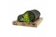 Decoration material 90653: Moss Art arrangement D30 