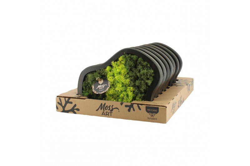 Decoration material 90653: Moss Art arrangement D30 Decoration material 90653: Moss Art arrangement D30